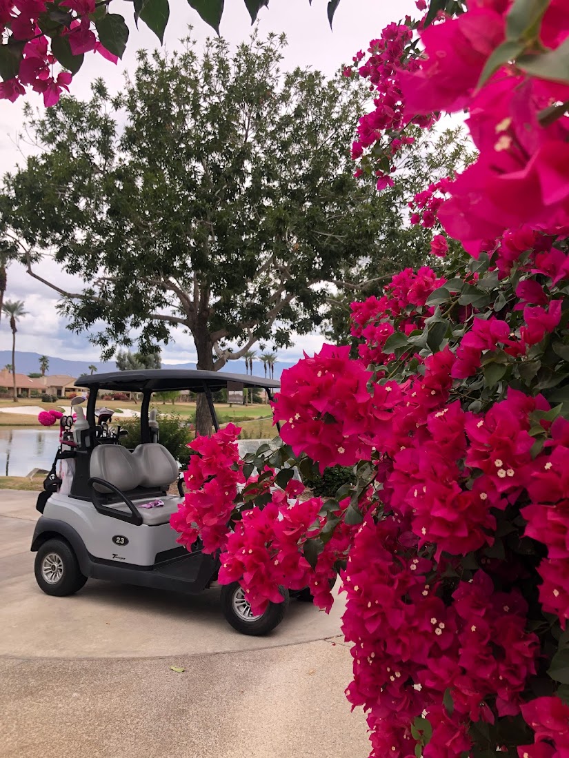 red flowers with a golf cart